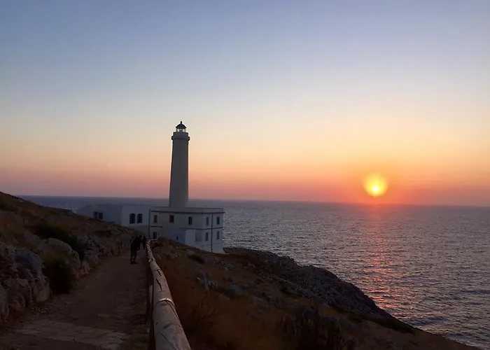 Le Rose Vignacastrisi