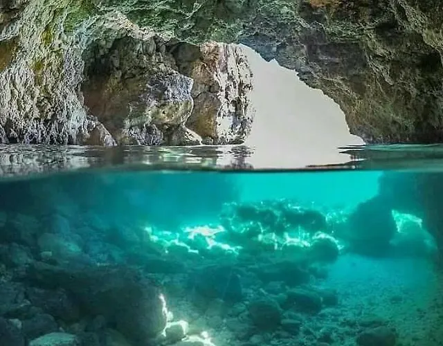 Bed and breakfast Le Rose