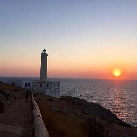 Le Rose 비냐카스트리시