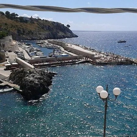 Le Rose ויניאקסטריזי